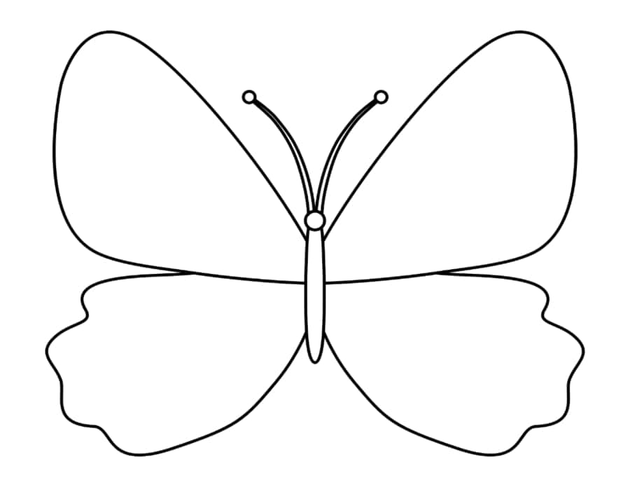 Butterfly Black And White Outline Coloring Pdf Free Vectors